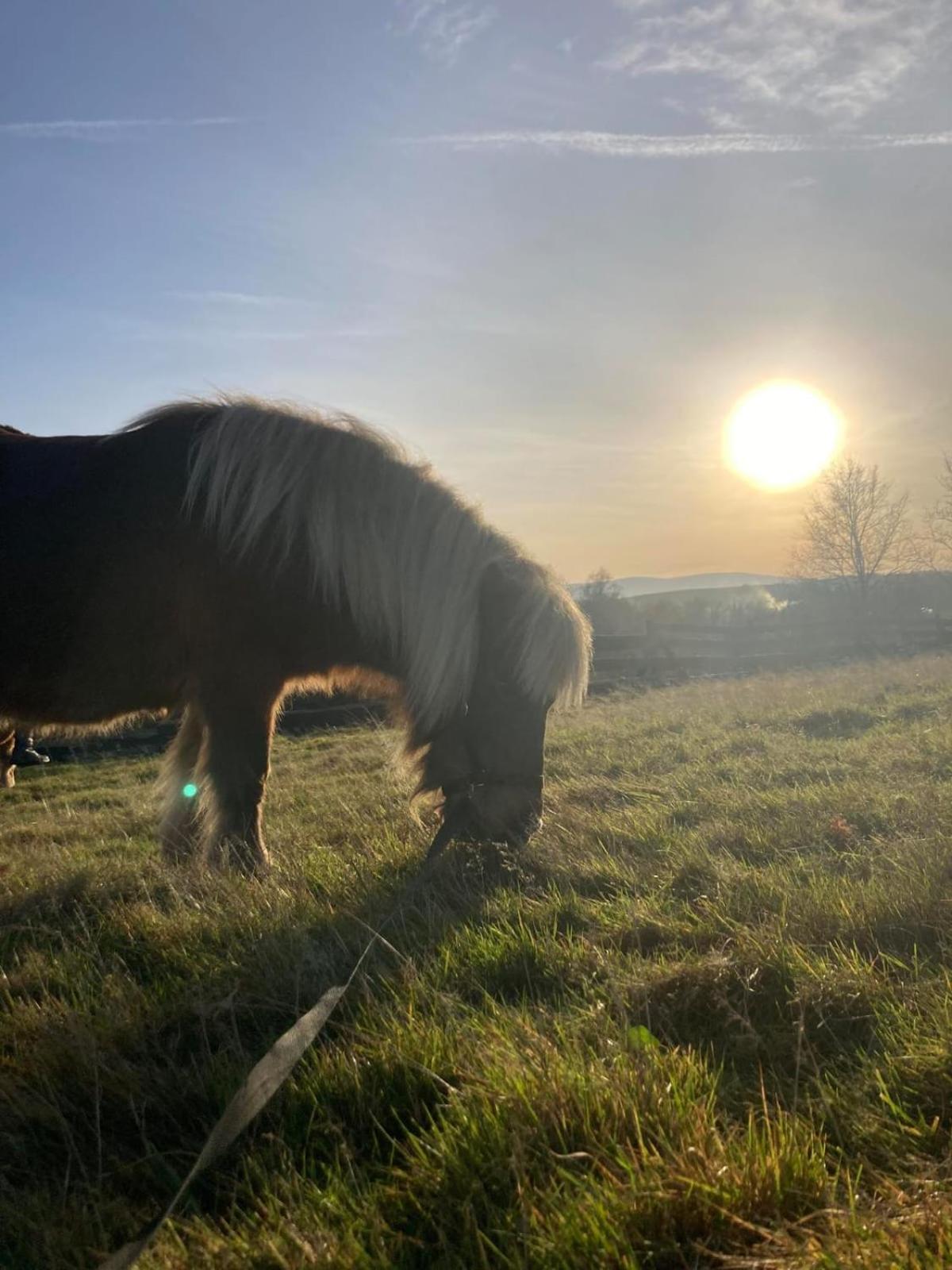 Vila Na Uboczu Gryfów Śląski Exteriér fotografie