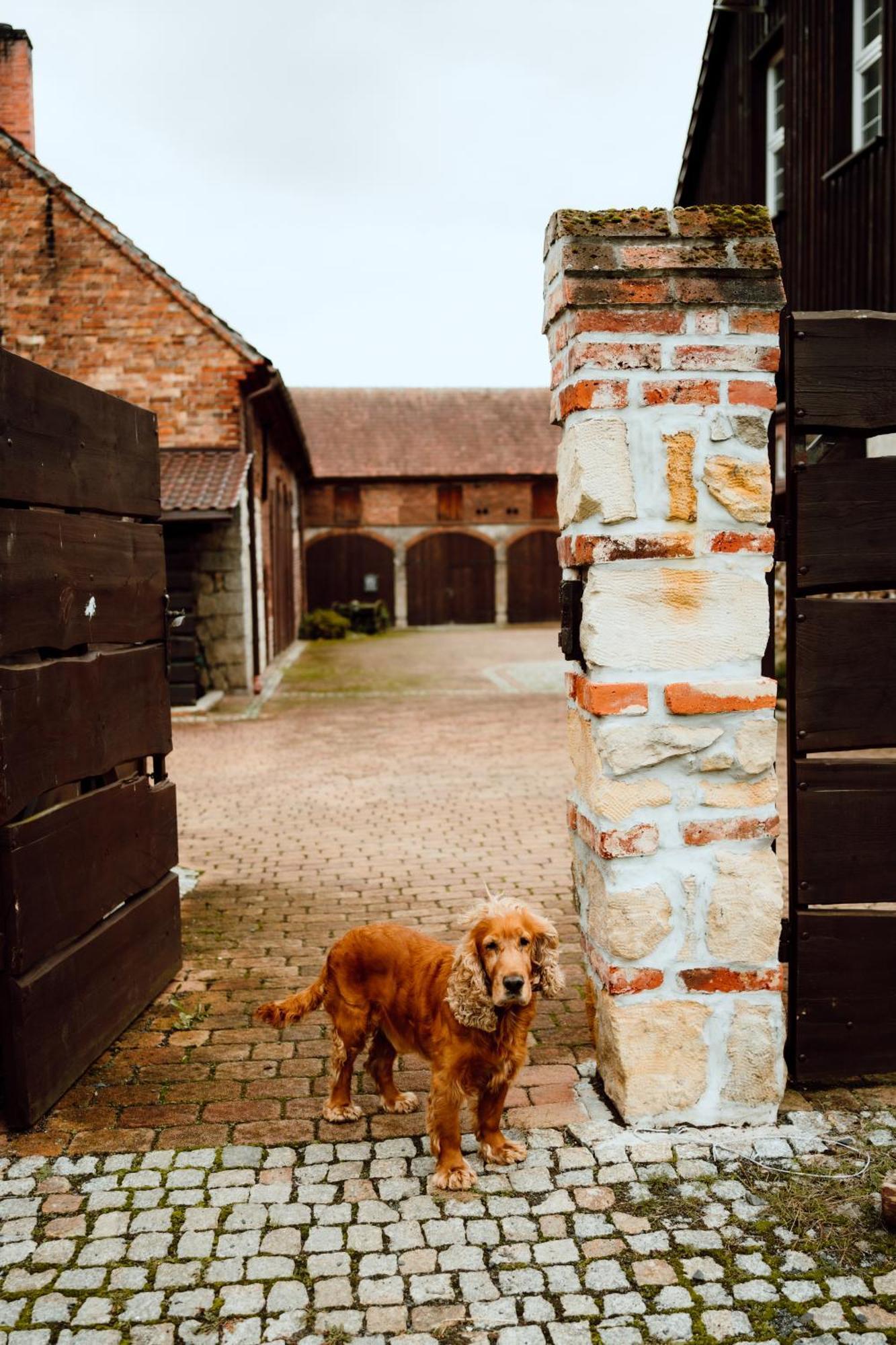 Vila Na Uboczu Gryfów Śląski Exteriér fotografie