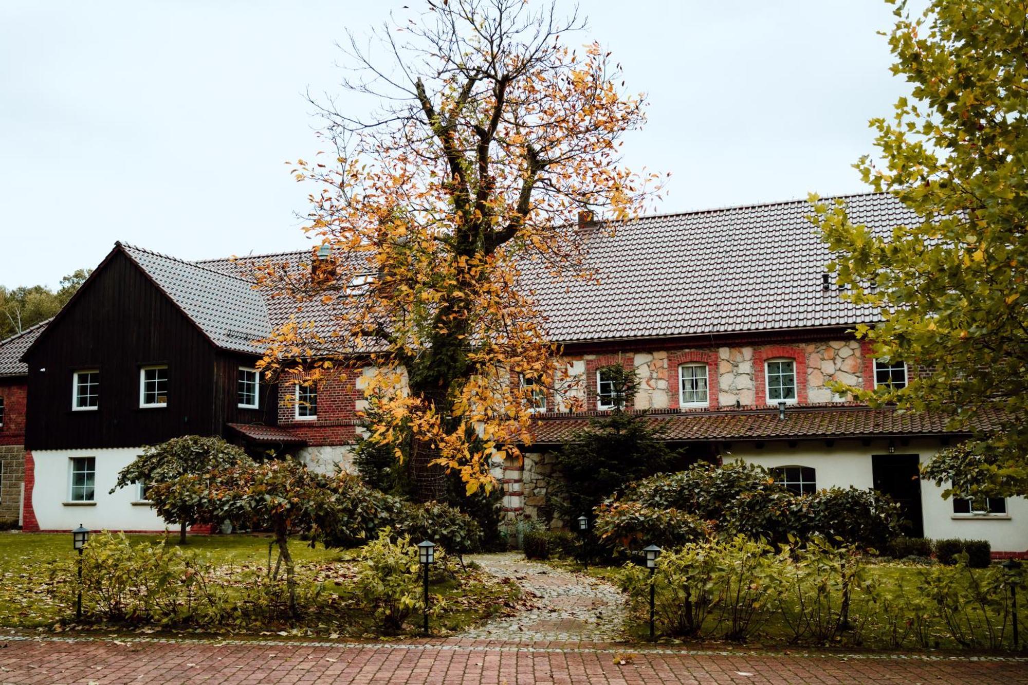 Vila Na Uboczu Gryfów Śląski Exteriér fotografie