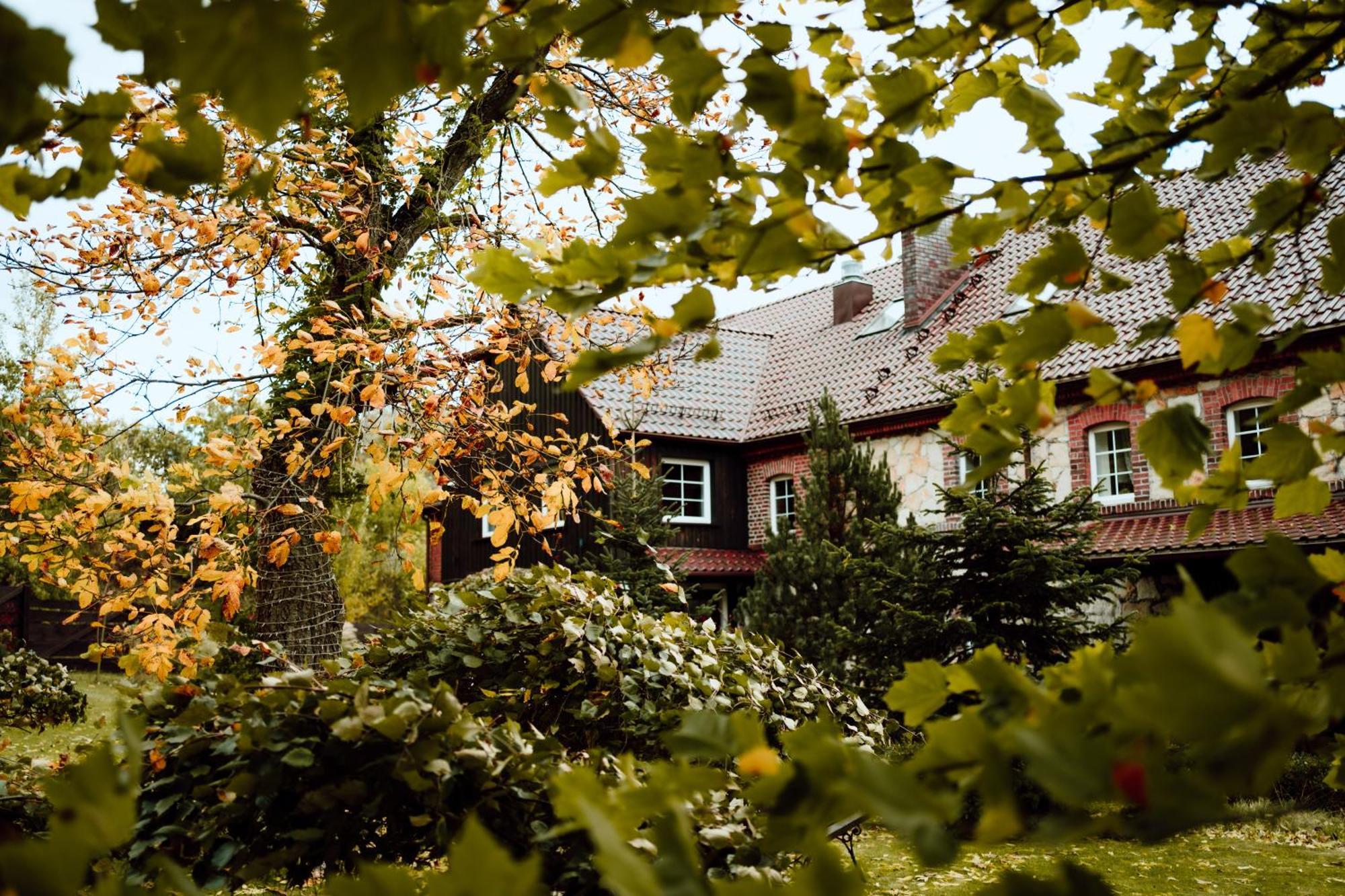 Vila Na Uboczu Gryfów Śląski Exteriér fotografie